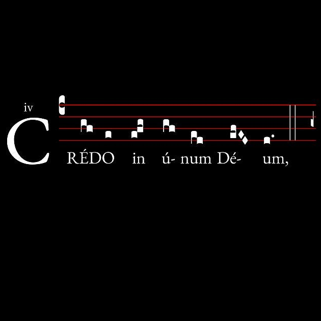 Credo in unum Deum Unisex Heavyweight Long Sleeve T-Shirt V