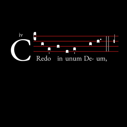 Credo in unum deum Unisex Heavyweight Long Sleeve T-Shirt