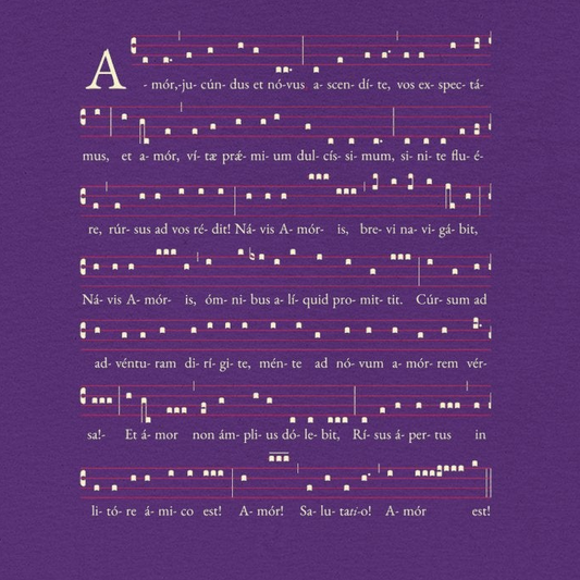 Navis Amoris T-Shirt