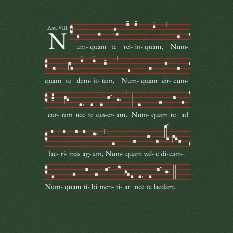 Numquam te relinquam T-Shirt